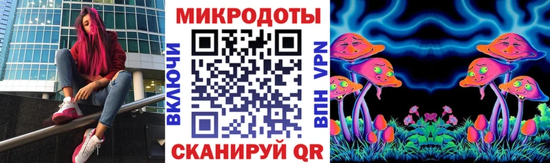 Псилоцибиновые грибы Magic Shrooms  сколько стоит  Заволжье 